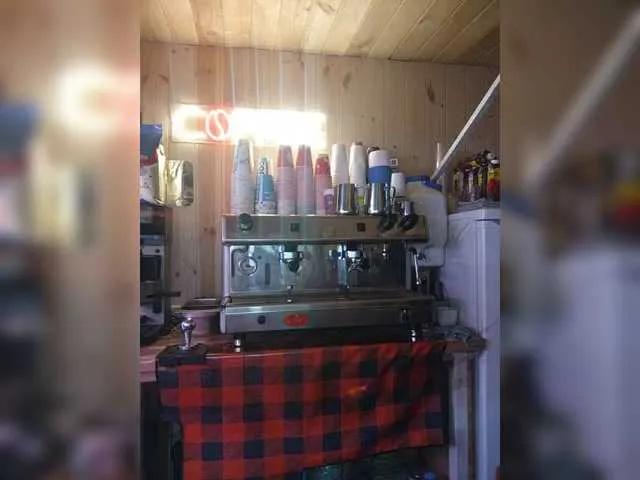 Katriona — Intelligence,sexy bodies