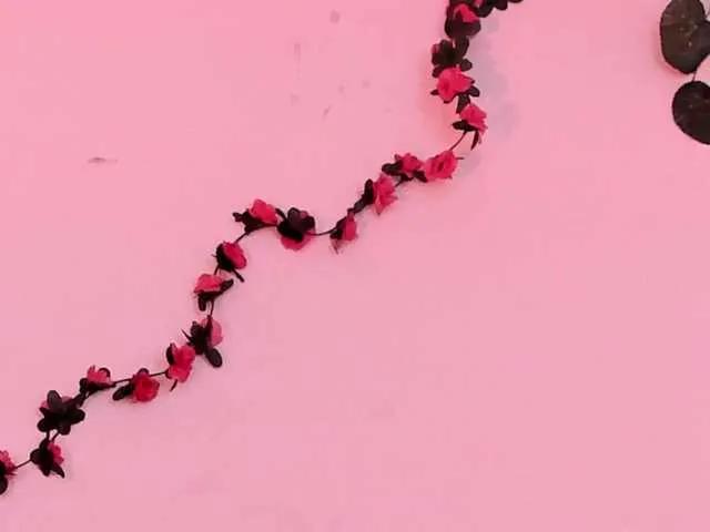 Pamela-Velvet's avatar