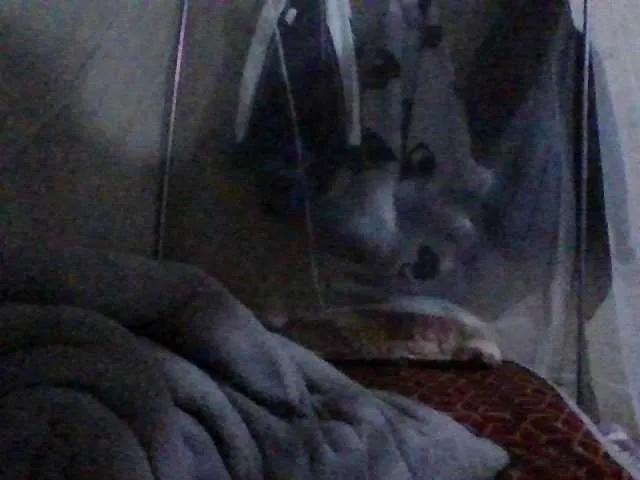 PrettyBelly's avatar