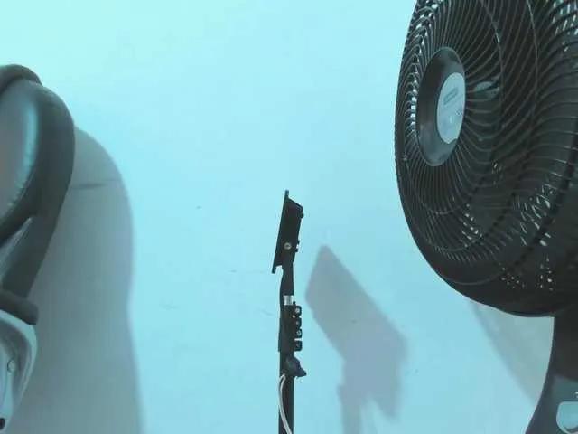 violeta-delavega1's avatar