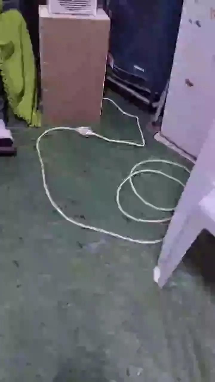 Petitebombe34's avatar