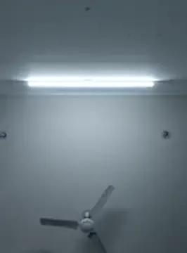 Anchal-8798's avatar