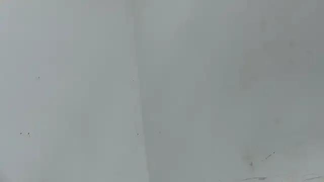 Emmaa_5 on StripChat 