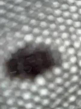 eveangelll on StripChat