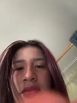 indialatin — help for materials for my house