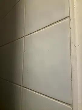 raen001 — LT toy control 3 mins.. get pantiewet 