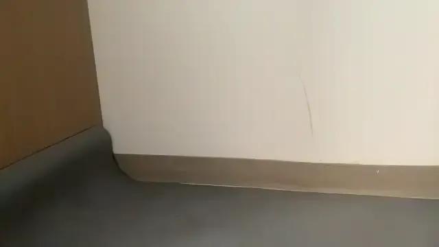 shdhdjag on StripChat 